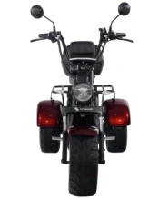 Электроскутер SKYBOARD CITYCOCO TRIKE BR80