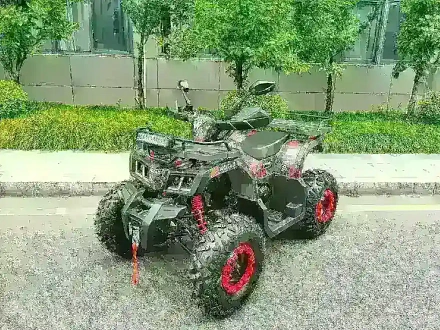 Квадроцикл MOTAX Grizlik T 200