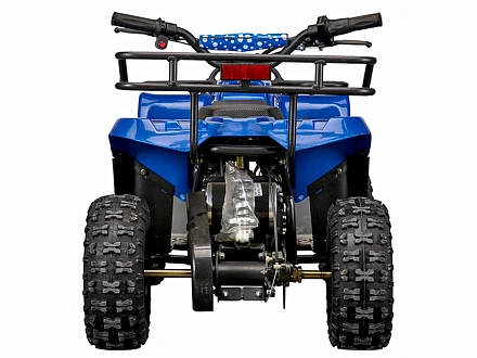 Квадроцикл YACOTA 800W