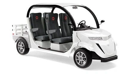 Гольфкар Elecar 5E-TIGARBO 4G