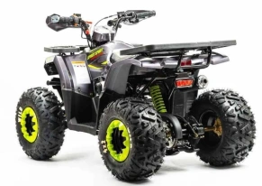 Квадроцикл Motoland 125 WILD (2020 г.)
