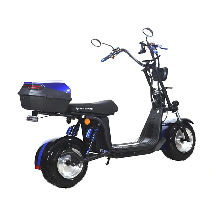 Электроскутер Skyboard BR30-2WD (Ural)