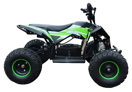 Электроквадроцикл MOTAX GEKKON 1300W