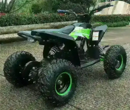 Электроквадроцикл MOTAX GEKKON 1300W