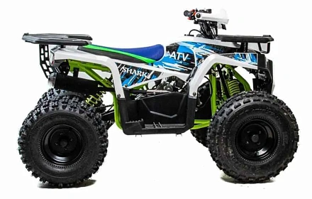 Квадроцикл Motoland (п) 125 Shark