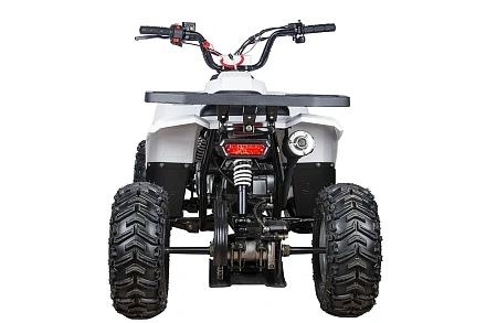 Квадроцикл YACOTA RAPOSA