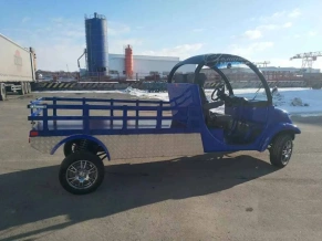 Электромобиль грузовой Elecargo 5E-TIGARBO B1