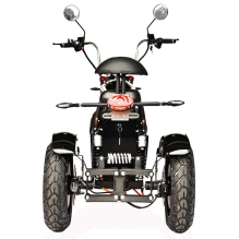 Электроскутер Skyboard CITYCOCO Chopper -4000 Harrow (Elbrus)