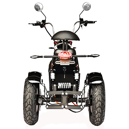 Электроскутер Skyboard CITYCOCO Chopper -4000 Harrow (Elbrus)