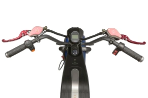 Электроскутер GT Citycoco X7 PRO TRIKE