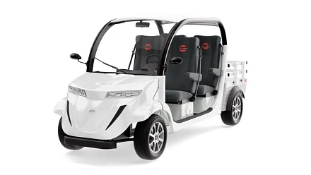 Гольфкар Elecar 5E-TIGARBO 4G