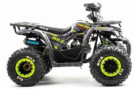 Квадроцикл Motoland (п) 125 WILD