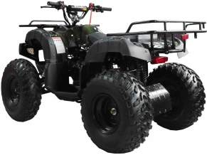 Квадроцикл Wels Thunder 150