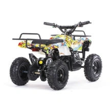 Электроквадроцикл MOTAX Mini Grizlik X-16 1000W