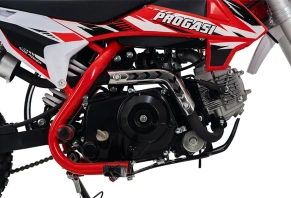 Мотоцикл Питбайк PROGASI Kids Power 110 красный