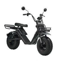 Электроскутер Skyboard Kamchatka 3000W с корзиной