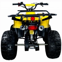 Квадроцикл Avantis Classic 8