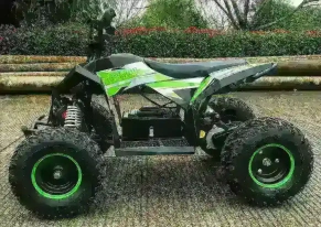 Электроквадроцикл MOTAX GEKKON 1300W
