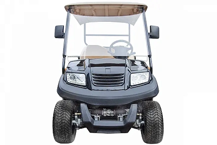 Гольфкар Voltrix EAGLE EG204AHCX