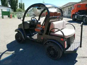 Гольфкар Elecar 5E-TIGARBO 2+2