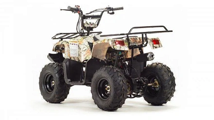 Квадроцикл Motoland 110 RIDER