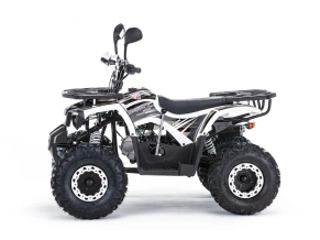 Квадроцикл MOTAX ATV Grizlik 125 cc