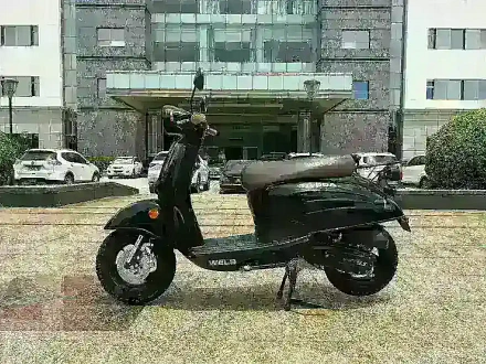 Скутер WELS VERDЕ
