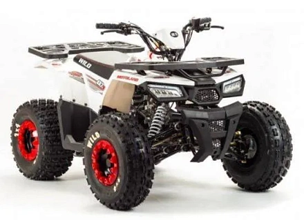 Квадроцикл Motoland 125 WILD (2020 г.)