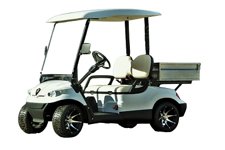 ГОЛЬФКАР КОНКОРДИЯ ГК2+КУЗОВ