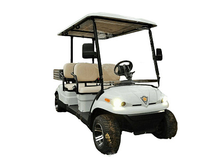 ГОЛЬФКАР КОНКОРДИЯ ГК4+КУЗОВ