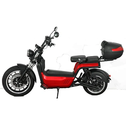 Электроскутер SKYBOARD BR100-5000 (Amur)