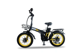 Электровелосипед Minako F10 Dual