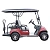 Гольфкар Green Camel LVTong  A22 (2+2, 4kW AC, R10) - превью