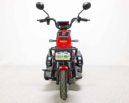 Электротрицикл Green Camel Фродо Q2 (60V 500W) дифф
