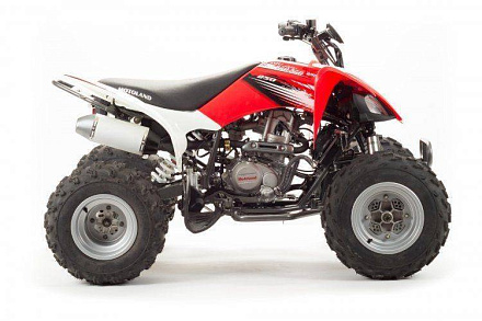 Квадроцикл Motoland 250S
