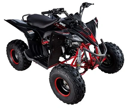 Квадроцикл Mikilon Rapide 125S (без АКБ)