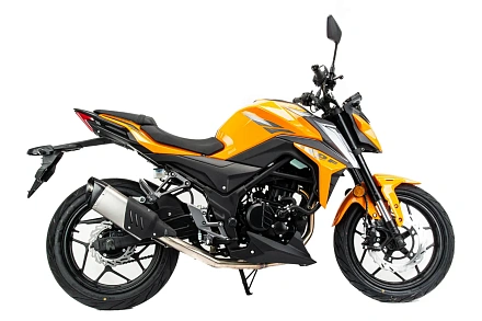 Мотоцикл Motoland 300 DF BIG BORE (CBS300 с балансиром)