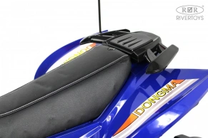 Детский электроквадроцикл Rivertoys P333PP