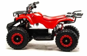 Электроквадроцикл Motoland ATV E009 1000W