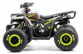 Квадроцикл Motoland 125 WILD (2020 г.)