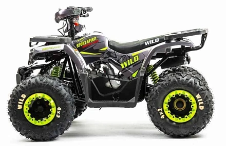Квадроцикл Motoland 125 WILD (2020 г.)