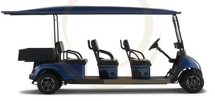 Гольф кар EWAY HM6-1