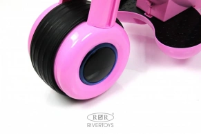 Детский электромотоцикл Rivertoys Moto HL300