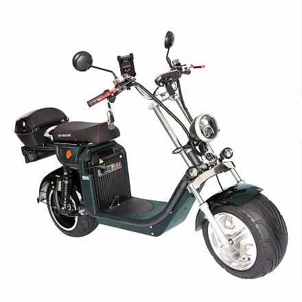 Электроскутер SKYBOARD CITYCOCO Altai BR4000