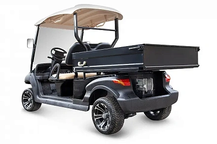 Гольфкар Voltrix EAGLE EG204AHCX