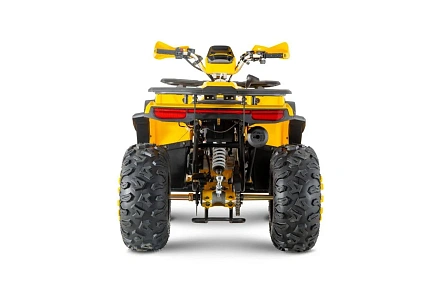 Квадроцикл WELS THUNDER Trail 200