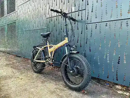 Электровелосипед OxyVolt FAT 20 double 2 GW