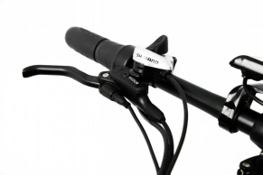 Электровелосипед Elbike Taiga 1 Twix