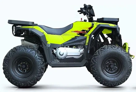 Квадроцикл Progasi RaceJumper 200SE