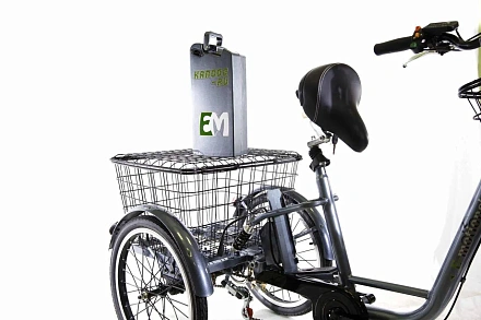 Трехколесный электровелосипед E-motions KANGOO-RU 500 с корзиной